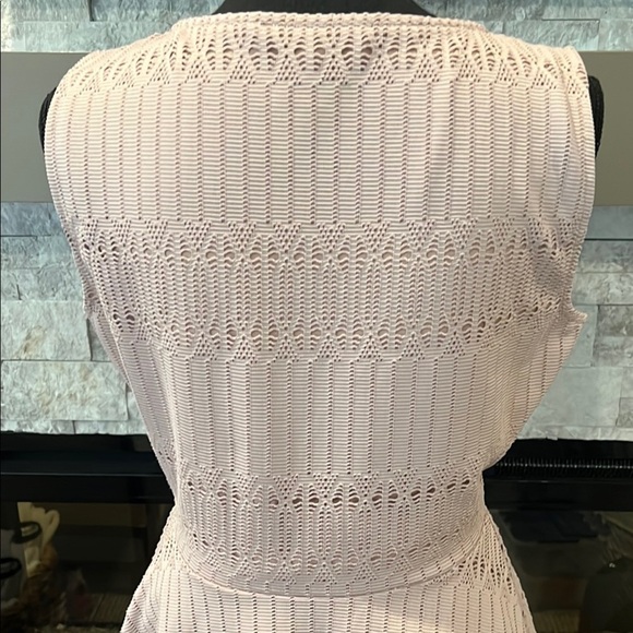 BCBGMaxAzria beige Lace Slipon Dress size medium - Picture 7 of 14